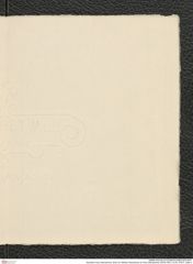 Nachlass Franz Steindachner, Brief von Wilhelm Weckbecker an Franz Steindachner (08.05.1901), Inv.Nr. 579.01, Seite 3